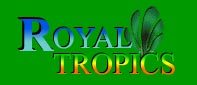 Royal Tropics